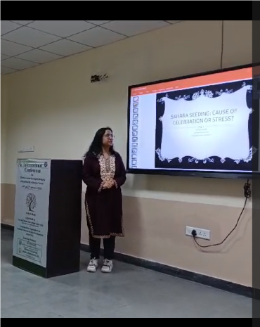 Video thumbnail hover